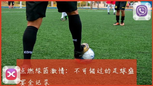 点燃绿茵激情：不可错过的足球盛宴全记录